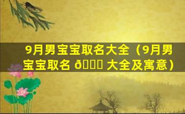 9月男宝宝取名大全（9月男宝宝取名 🐛 大全及寓意）